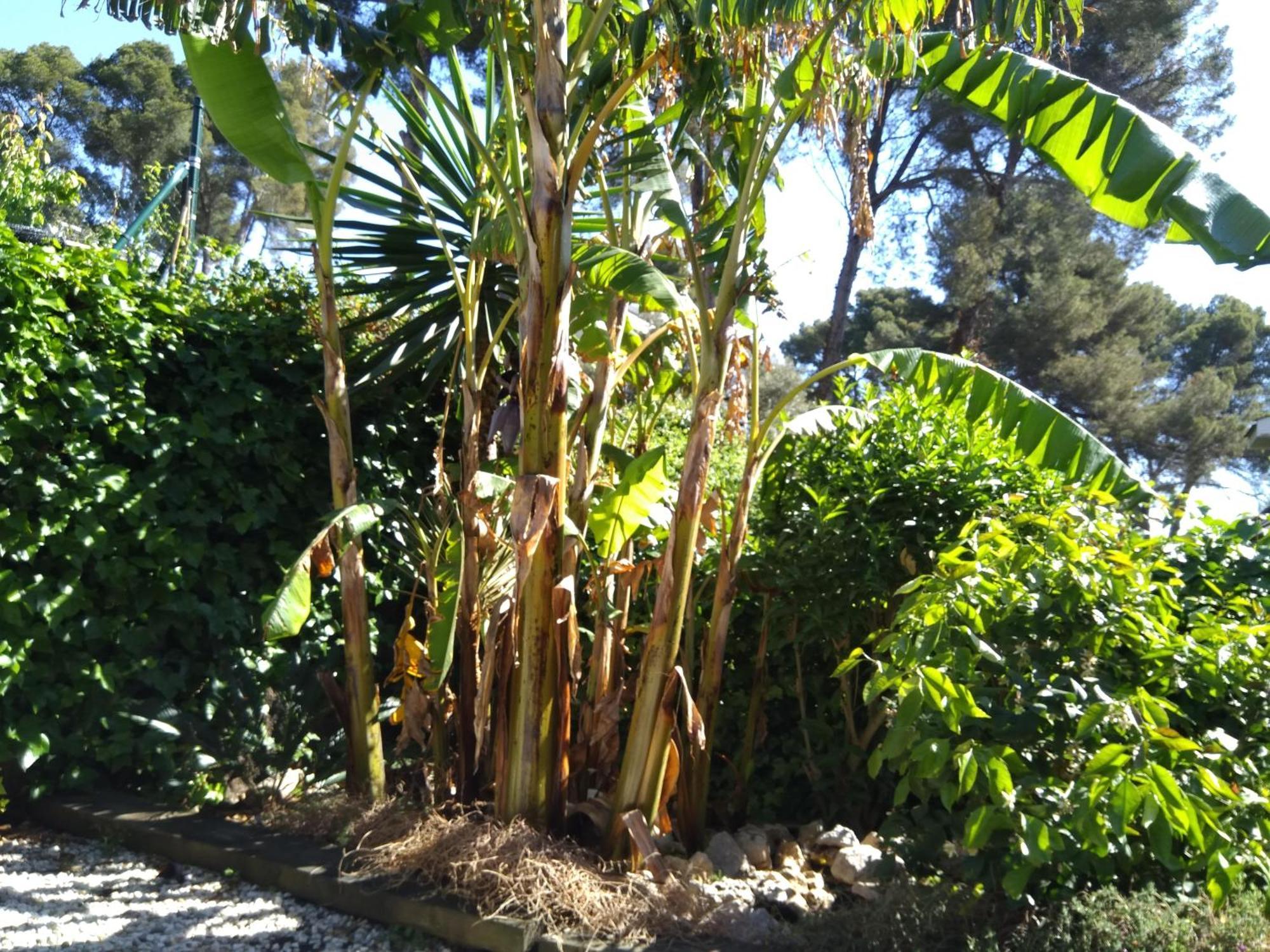 Villa Del Bosque 卡斯特尔德费尔斯 外观 照片